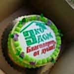 Дом из СИП панелей г. Павловский Посад