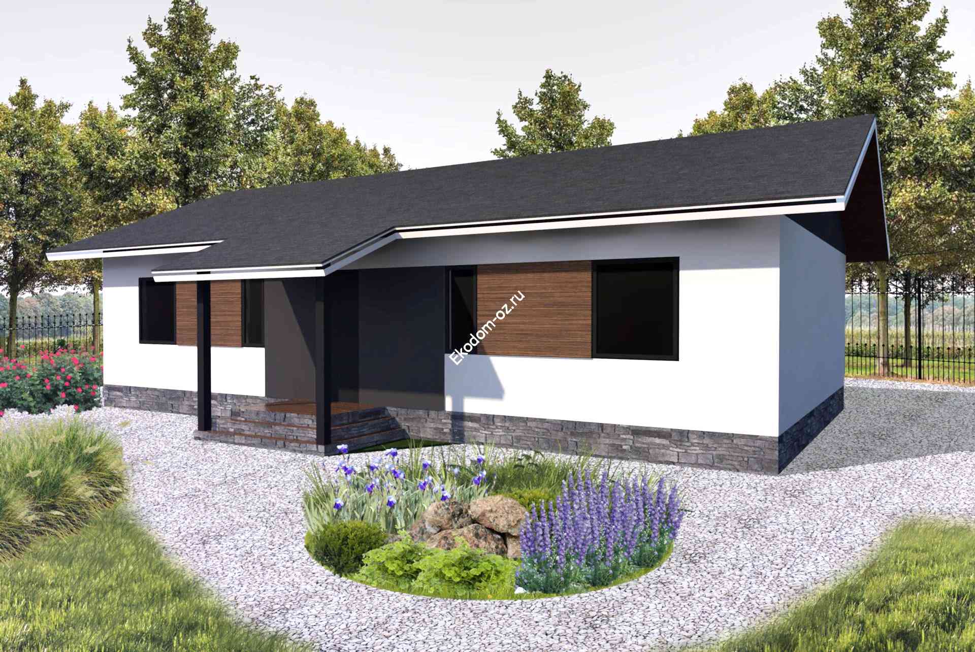 Проект 1.113 1 1